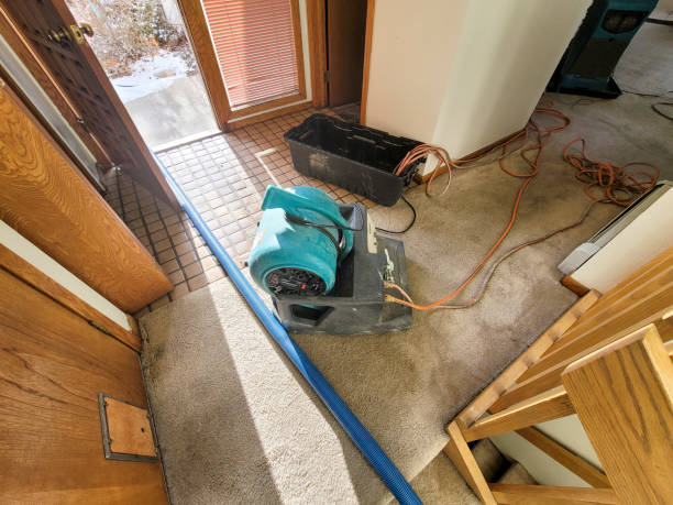 Best Ceiling water damage repair  in St Henry, OH