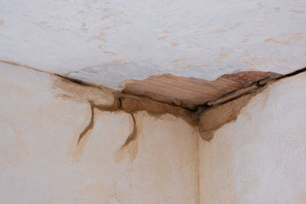 Best Carpet water damage restoration  in St Henry, OH