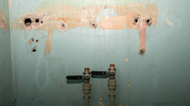 Best Professional water damage repair  in St Henry, OH